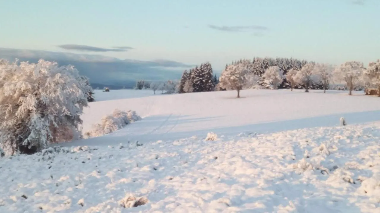 Le Chalet Des Etoiles Champagnac-le-Vieux Bed & Breakfast